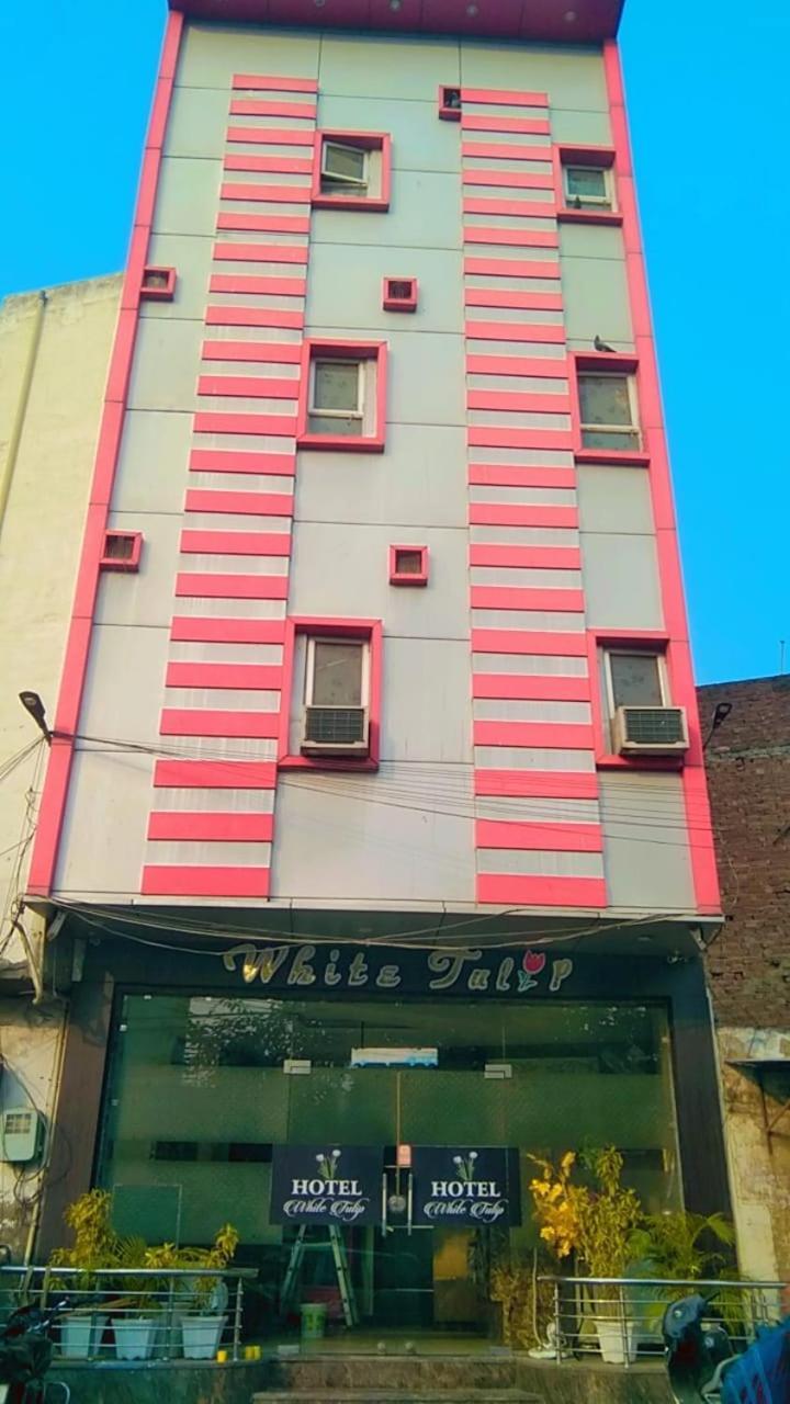 Hotel White Tulip Amritsar Eksteriør bilde